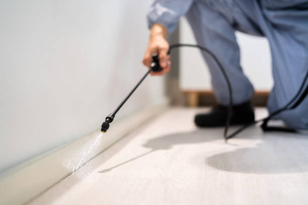 Licensed Cockroach Control service in Saks, AL - Nex Pest Control