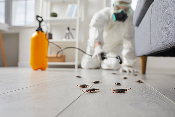 Affordable Cockroach Control solutions in Saks, AL